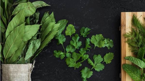 Fresh Herbs